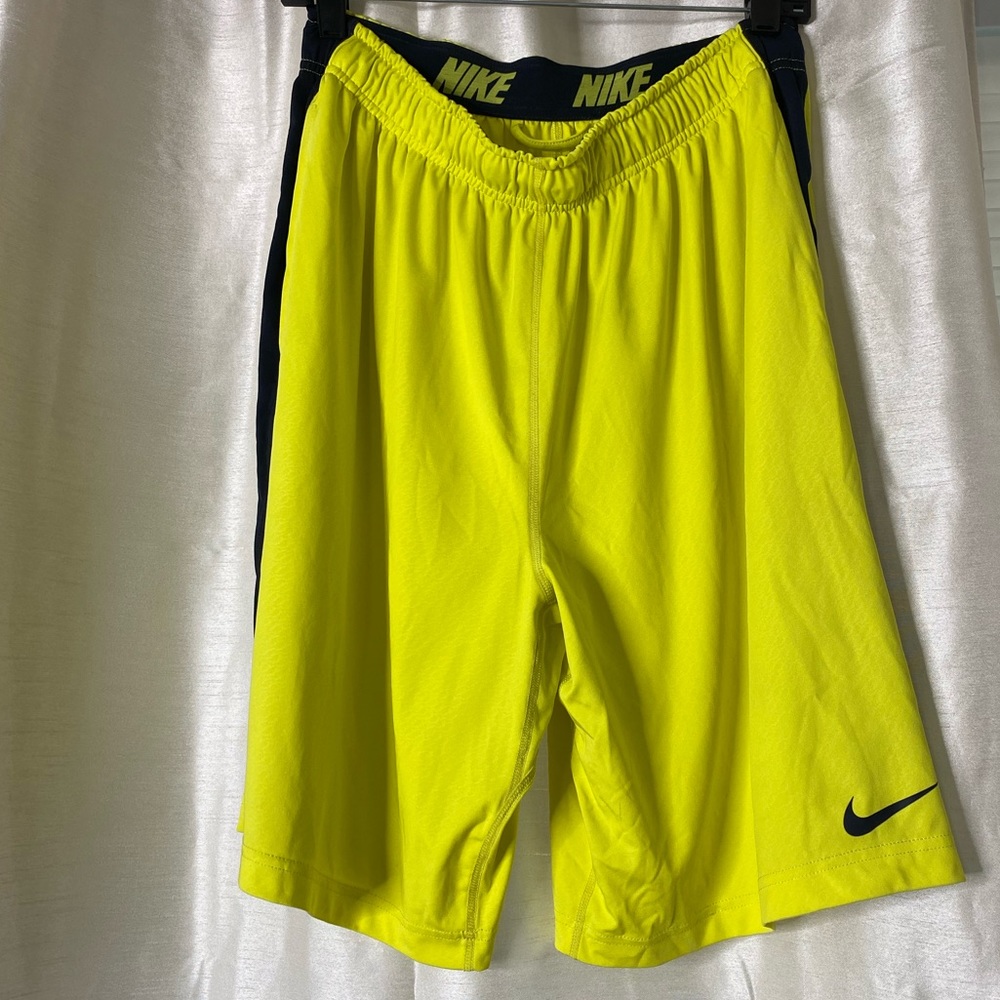 Nike men’s Dri-Fit shorts